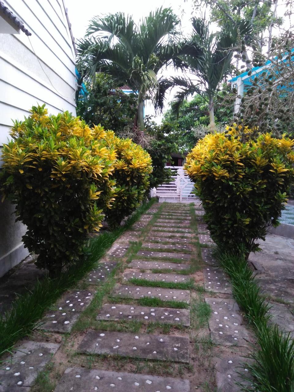 De Vong Riverside Homestay Hoi An Exterior photo